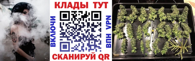 Где продают наркотики Мамадыш A PVP  Кокаин  Меф мяу мяу  Каннабис 