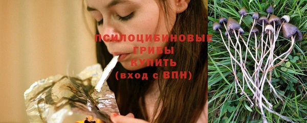 прущая мука Надым