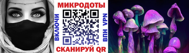 Галлюциногенные грибы Psilocybine cubensis где можно купить Мамадыш