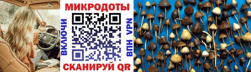 Галлюциногенные грибы GOLDEN TEACHER Мамадыш